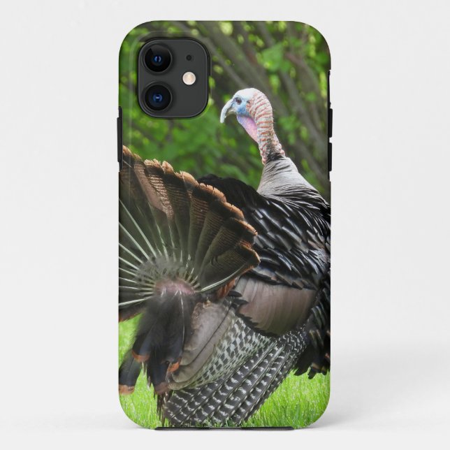 Capa Para iPhone 11 Tom Turkey Feather Display (Verso)
