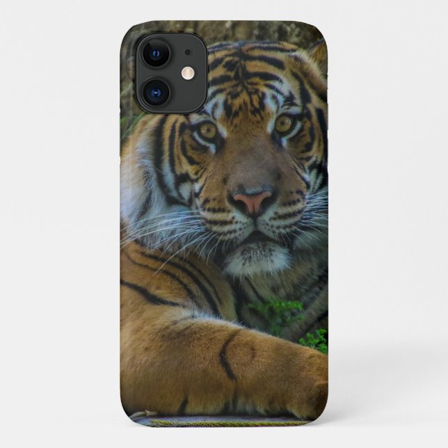 Capa Para iPhone 11 tony (Verso)