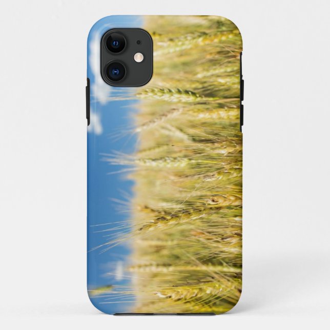 Capa Para iPhone 11 Trigo de Kansas (Verso)