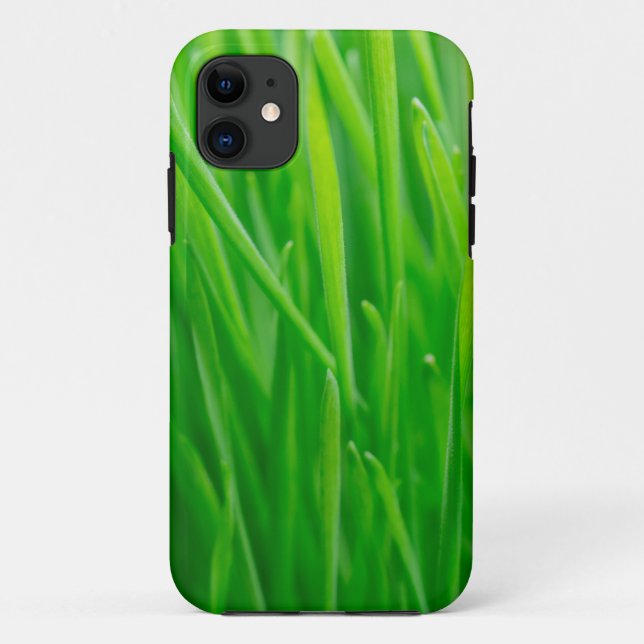 Capa Para iPhone 11 Trigo verde vibrante fresco  (Verso)
