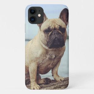Capa Para iPhone 11 Um Bulldog Francês