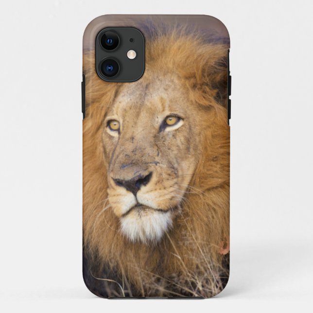 Capa Para iPhone 11 Um retrato de um Leão olhando à distância (Verso)