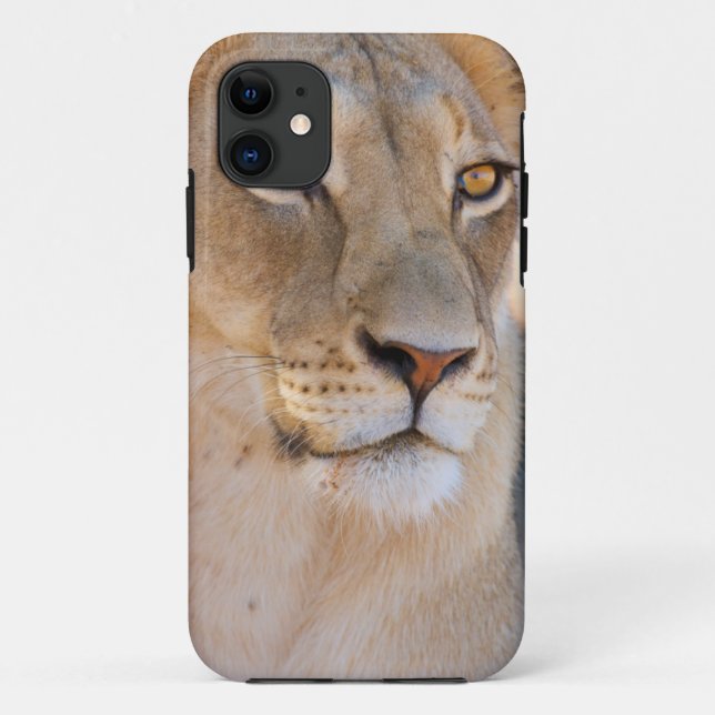 Capa Para iPhone 11 Um retrato de uma Lionesa olhando para a distância (Verso)