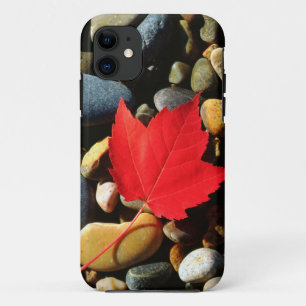 Capa Para iPhone 11 Uma folha de bordo em um fundo de rocha