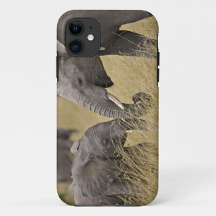 Capa Para iPhone 11 Uma pastagem de elefante africano nos campos