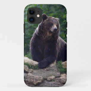 Capa Para iPhone 11 Urso castanho