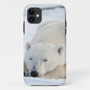 Capa Para iPhone 11 Urso Polar no inverno