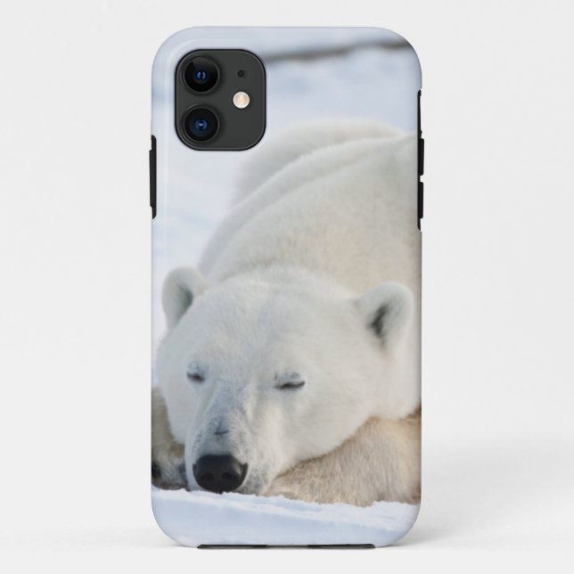Capa Para iPhone 11 Urso Polar no inverno (Verso)