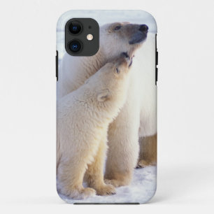 Capa Para iPhone 11 Ursoaica com filhote, matilha
