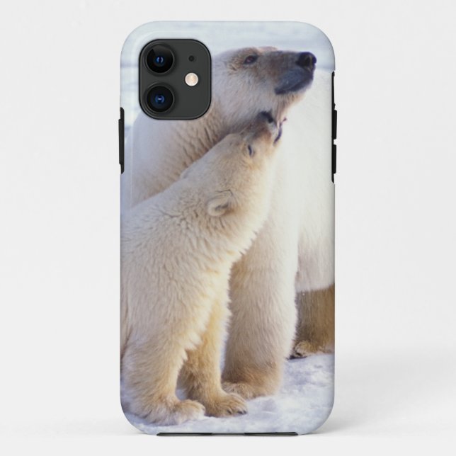 Capa Para iPhone 11 Ursoaica com filhote, matilha (Verso)