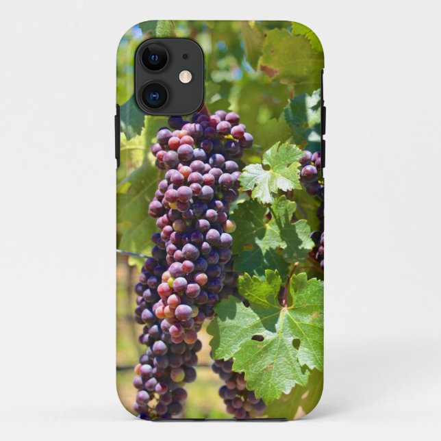 Capa Para iPhone 11 Uvas (Verso)