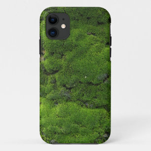 Capa Para iPhone 11 Verde de musgo