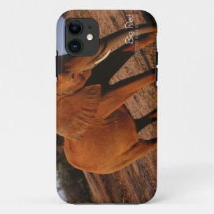 Capa Para iPhone 11 Vermelho Grande