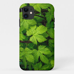 Capa Para iPhone 11 Vinhas verdes beleza natural