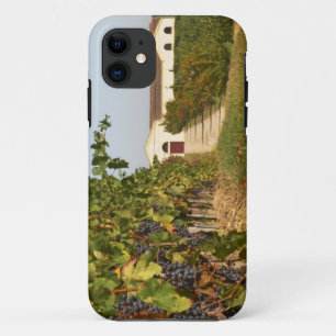 Capa Para iPhone 11 Vinhas, videiras petit verdot e a adega ao