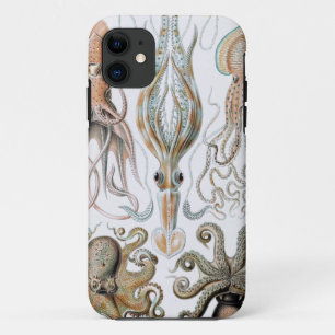 Capa Para iPhone 11 Vintage Ernst Haeckel Squids e Octopus Poster