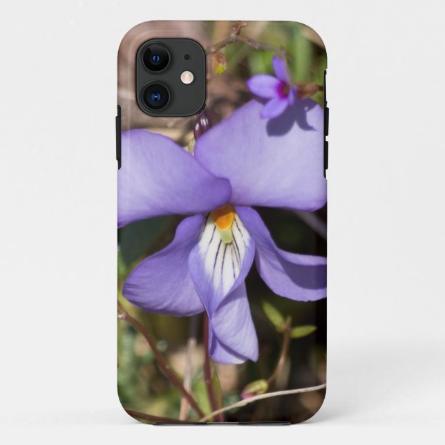 Capa Para iPhone 11 Violeta de Pássaros com Bluets (Verso)