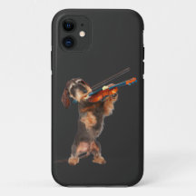 Violinista do Wirehair Dachshund