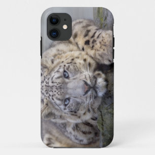 Capa Para iPhone 11 Vishnu Snow Leopard iPhone 5 Case-Mate Case