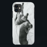 Capa Para iPhone 11 Weimaraners preguiçoso<br><div class="desc">Se você amou nunca um Weim,  você não precisa nenhuma explicação…</div>