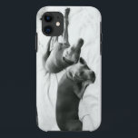 Capa Para iPhone 11 Weimaraners preguiçoso<br><div class="desc">Se você amou nunca um Weim, você não precisa nenhuma explicação…</div>