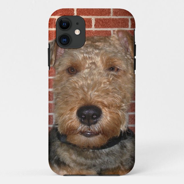 Capa Para iPhone 11 Welsh Terrier (Verso)