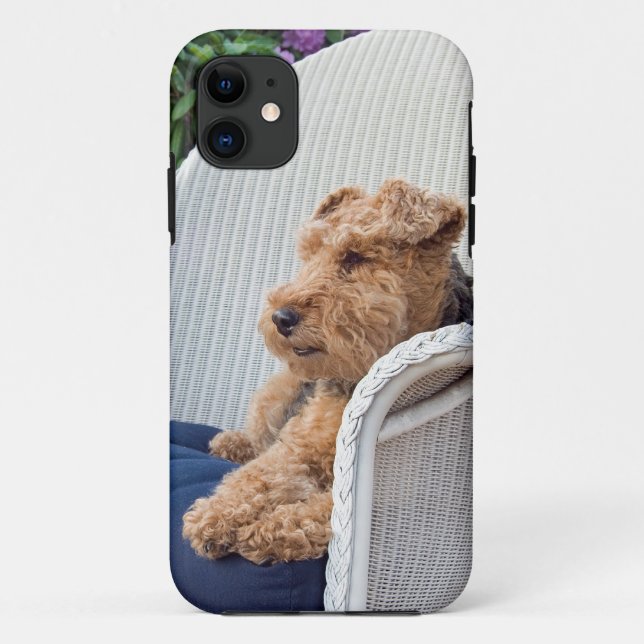 Capa Para iPhone 11 Welsh Terrier (Verso)