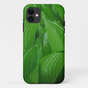 Capa Para iPhone 11 Young Hostas com Raindrops
