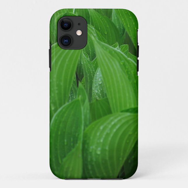 Capa Para iPhone 11 Young Hostas com Raindrops (Verso)