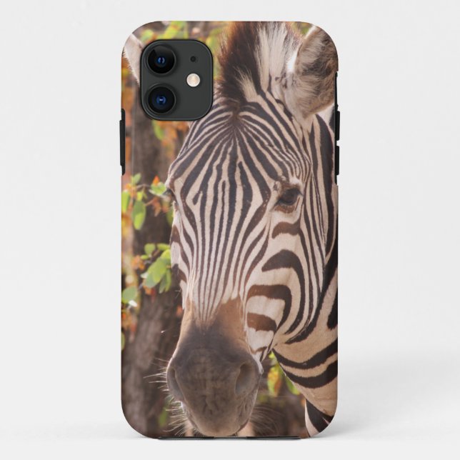 Capa Para iPhone 11 zebra africana Burchell com listras em Bushveld (Verso)