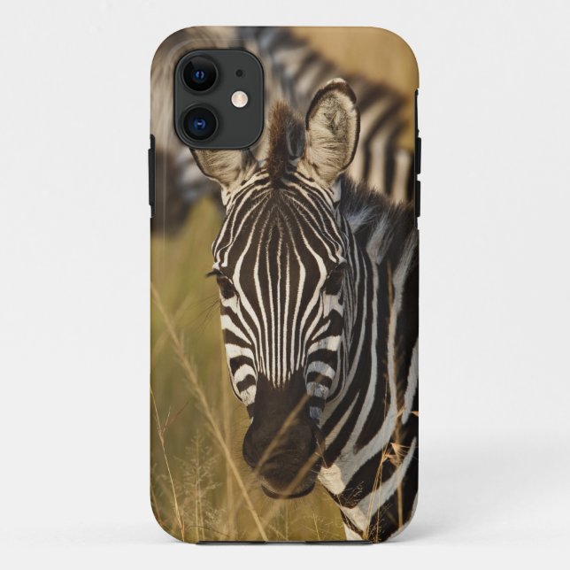 Capa Para iPhone 11 Zebra de Burchell em grama alta de verão, Masai (Verso)
