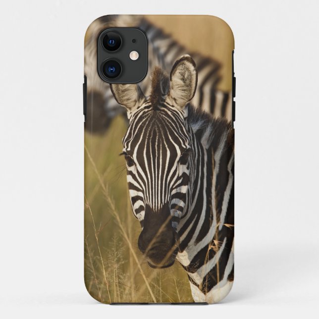 Capa Para iPhone 11 Zebra de Burchell na grama alta do verão, Masai (Verso)
