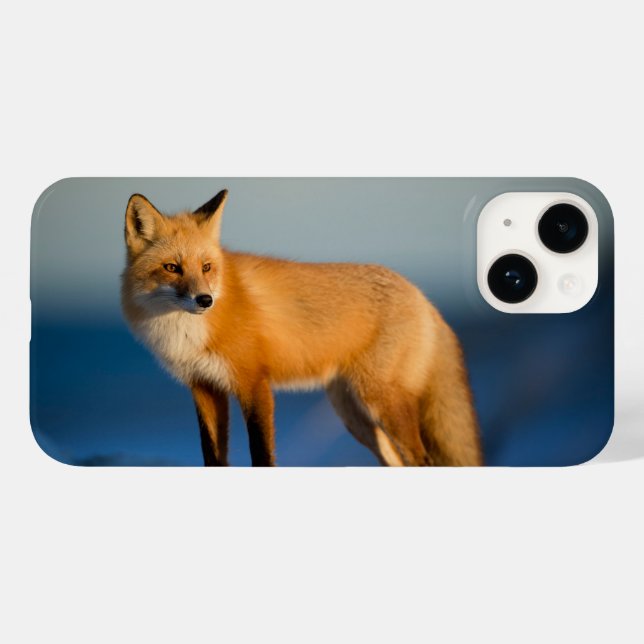 Capa para iPhone 14 da Raposa Marrom (Verso (horizontal))