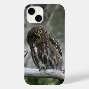Capa para iPhone 14 do Mocho-dos-bosques-anão