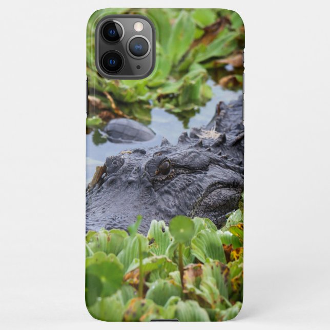 Capa Para iPhone Alligador americano entre as plantas - Vibrante (Verso)
