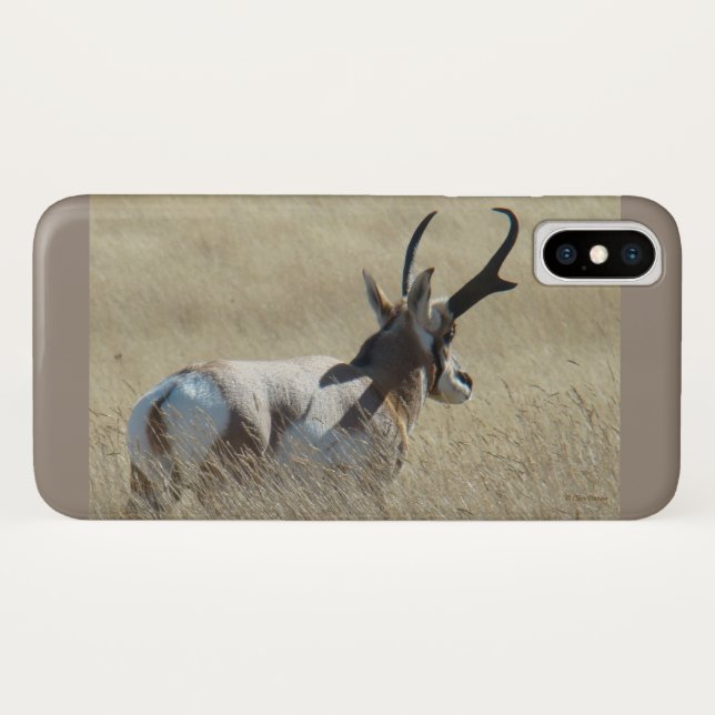 Capa Para iPhone, Case-Mate A14 Pronghorn Antelope Sunshine Buck (Verso (Horizontal))