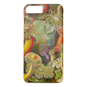 Capa Para iPhone Da Case-Mate A Vida do Oceano Actinae de Ernst Haeckel