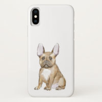 Adorable french bulldog puppy