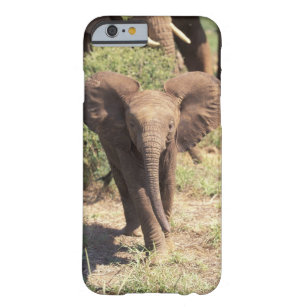 Capa Barely There Para iPhone 6 África, Kenya, parque nacional de Amboseli.