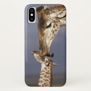 Capa Para iPhone X África, Quênia, Masai Mara. Girafas (Giraffa