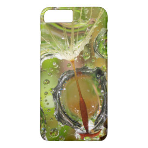 Capa iPhone 8 Plus/7 Plus Água na semente de dente-de-leão, CA