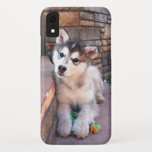 Capa Para iPhone Da Case-Mate Alaskan Malamute Puppy Head Tilt Fotografia