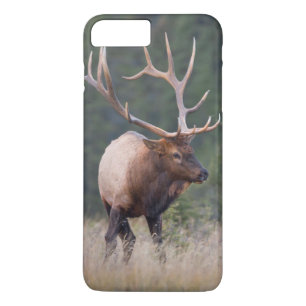 Capa Para iPhone Da Case-Mate Alce das Montanhas Rochosas
