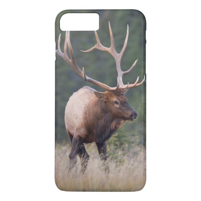 Capa Para iPhone, Case-Mate Alce das Montanhas Rochosas (Verso)