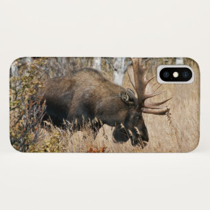 Capa Para iPhone Da Case-Mate Alce-Macho Pastando