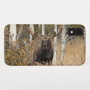 Capa Para iPhone Da Case-Mate Alces impressionantes de Bull