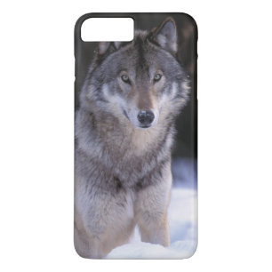 Capa Para iPhone Da Case-Mate América do Norte, Canadá, Canadá Oriental, Lobo ci