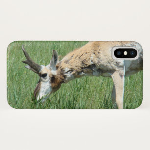 Capa Para iPhone Da Case-Mate Antilope Pronghorn Pastando