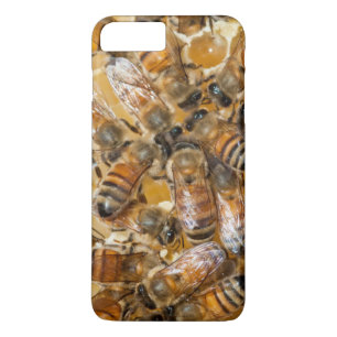 Capa Para iPhone Da Case-Mate Apicultura na Arlo's Honey Farm