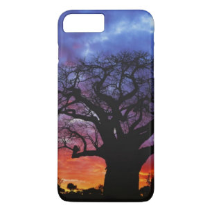 Capa iPhone 8 Plus/7 Plus Árvore baobá africana, Adansonia digitata, 2